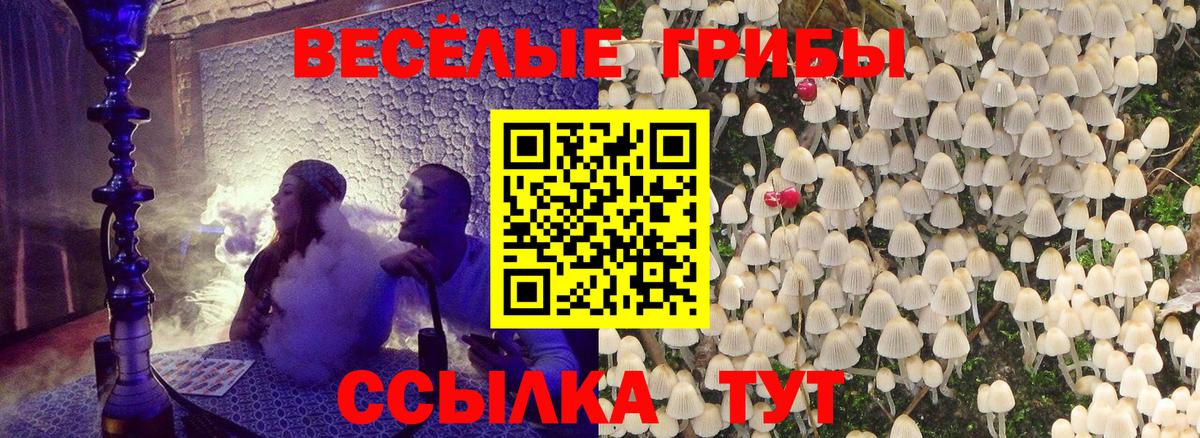 продажа наркотиков  Псилоцибиновые грибы ЛСД  Кропоткин  Галлюциногенные грибы ЛСД 