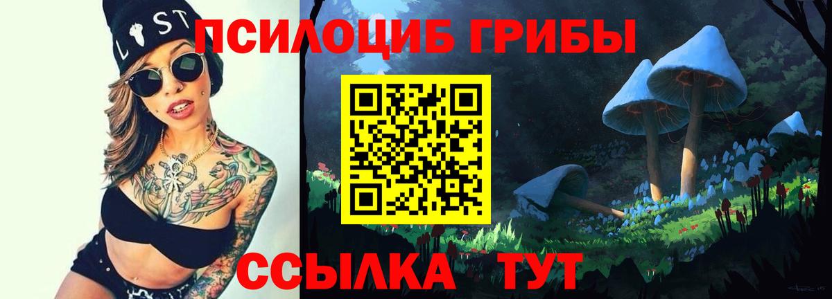 Метадон Кропоткин
